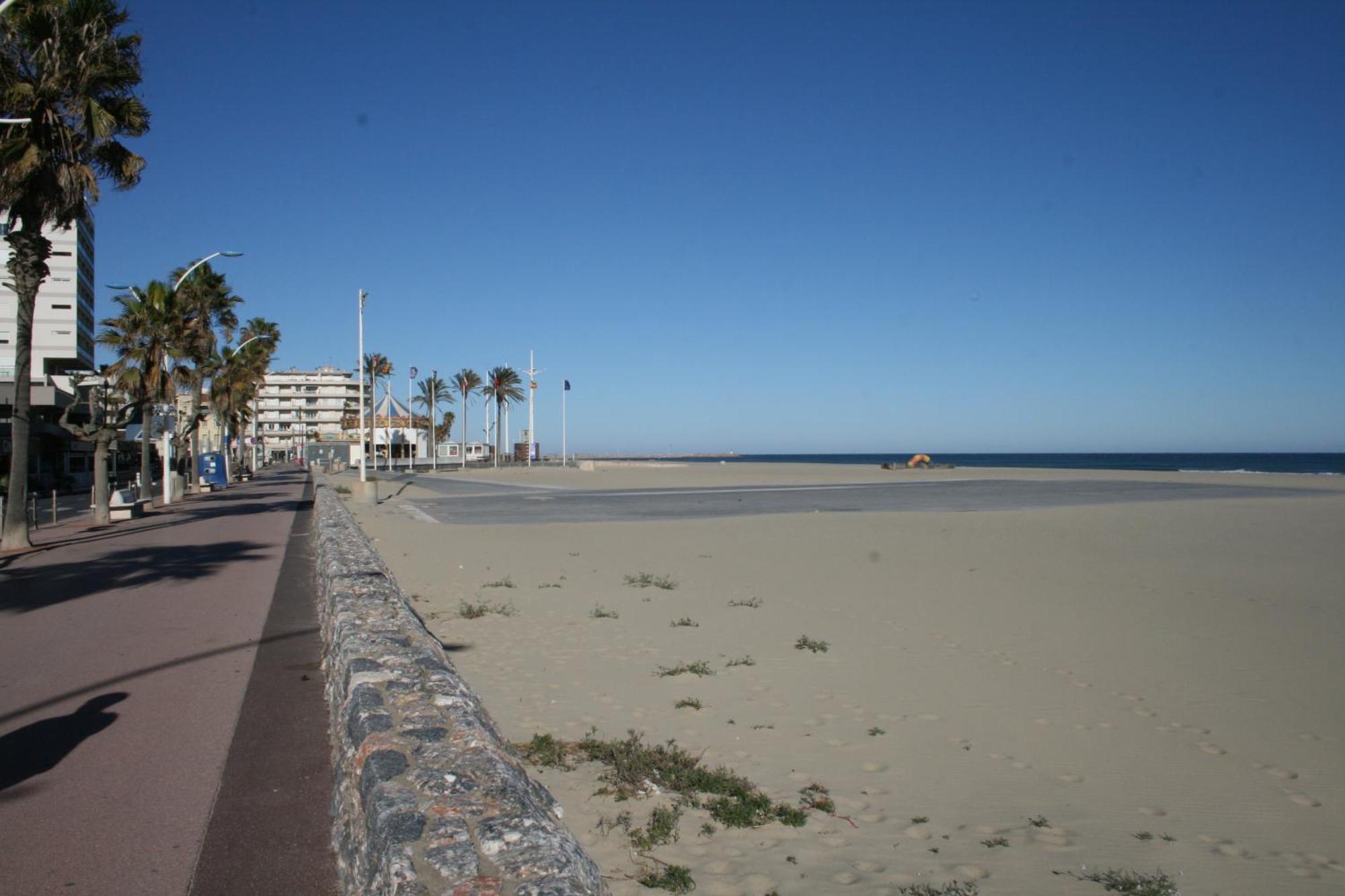 Charmant Studio 20 M De La Plage Canet-en-Roussillon Dış mekan fotoğraf
